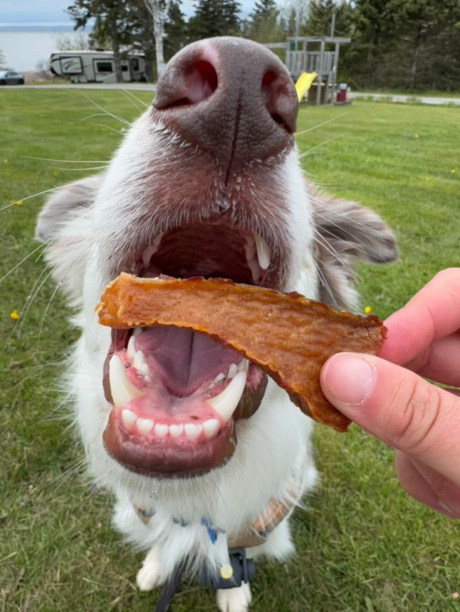 Salmon Jerky