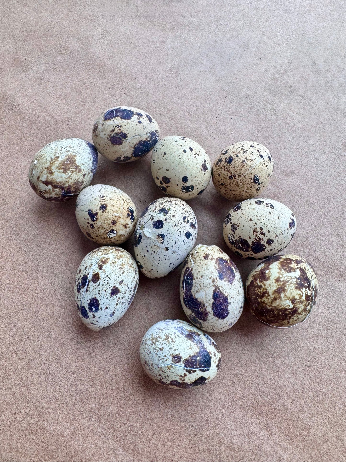 Quail Eggs