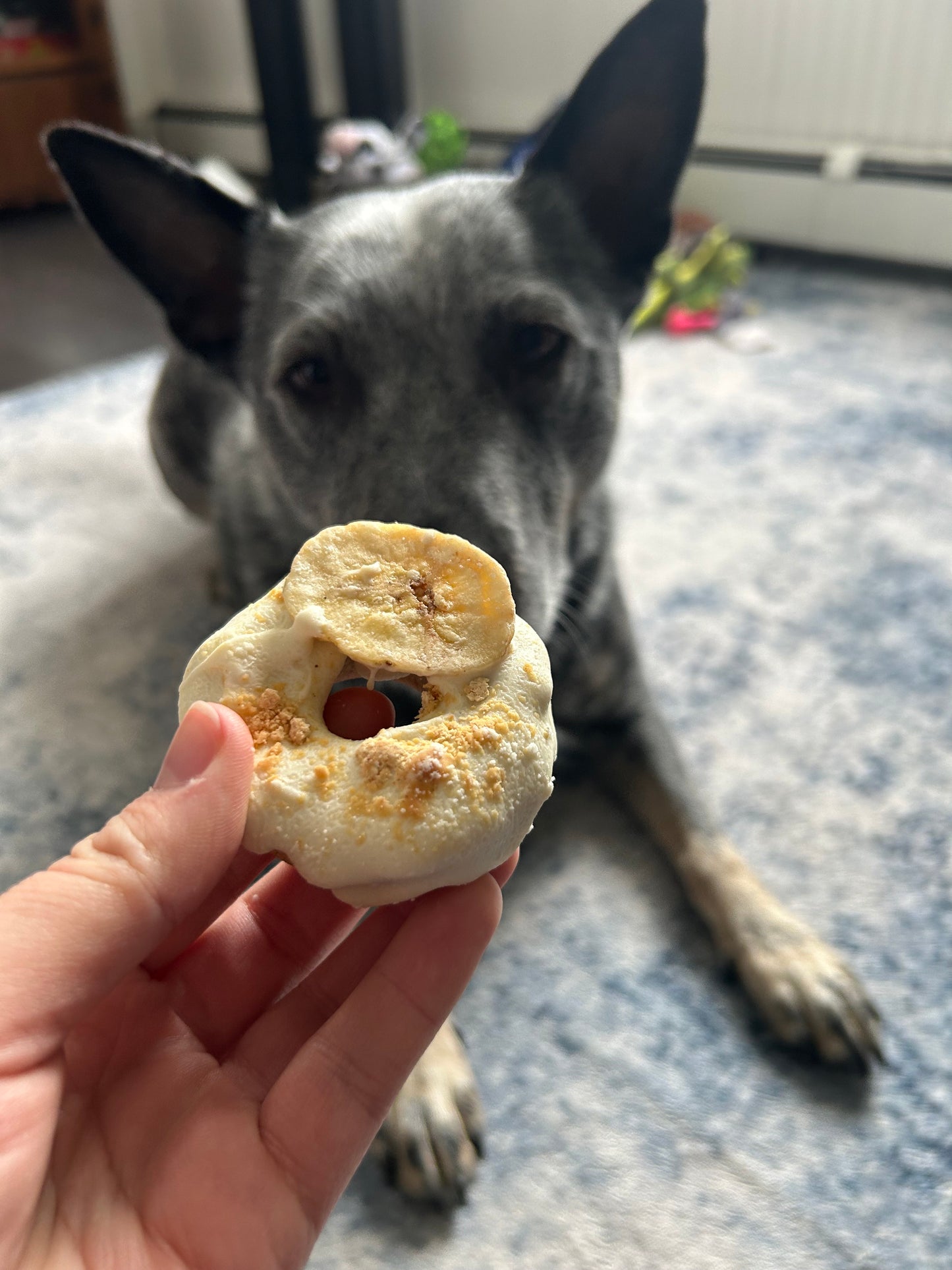 Banana Peanut Butter Doughnuts