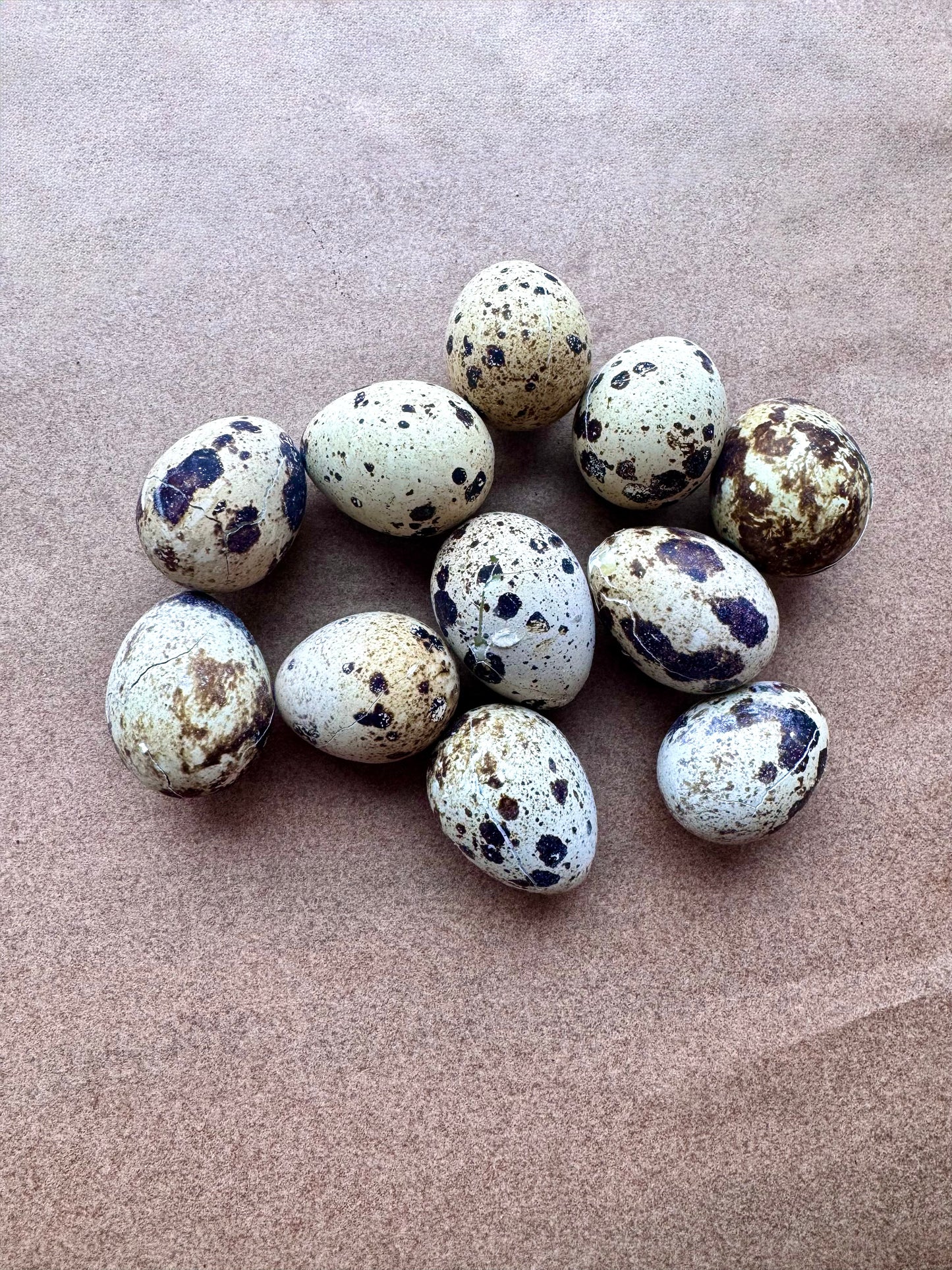 Quail Eggs