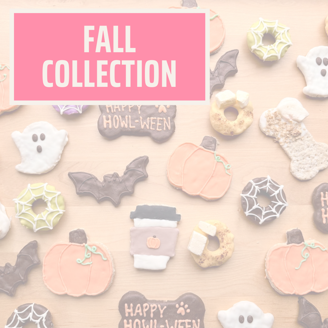 Fall Collection