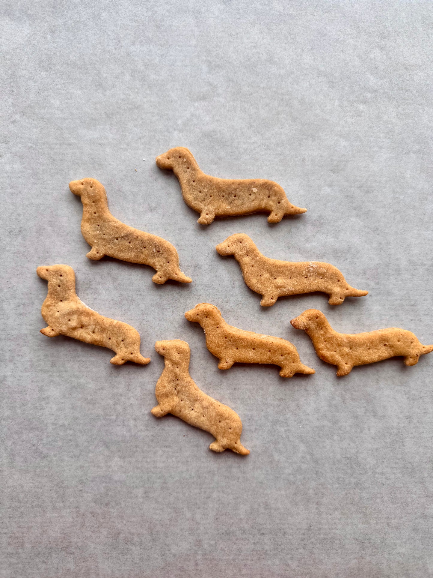 Dog Breed Cookies