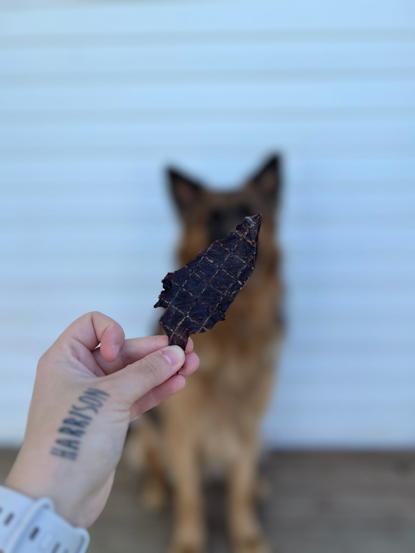 Bison Jerky