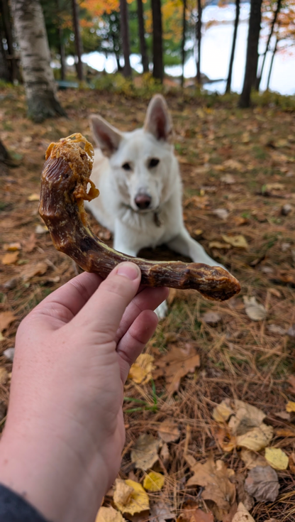 Turkey Necks