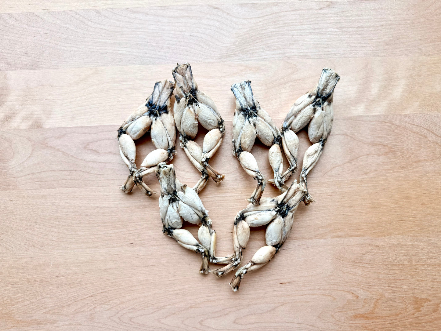 Freeze Dried Frog Legs