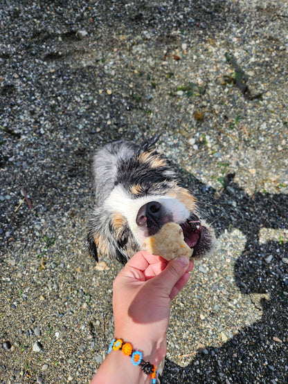 Bacon Cheeseburger Biscuits