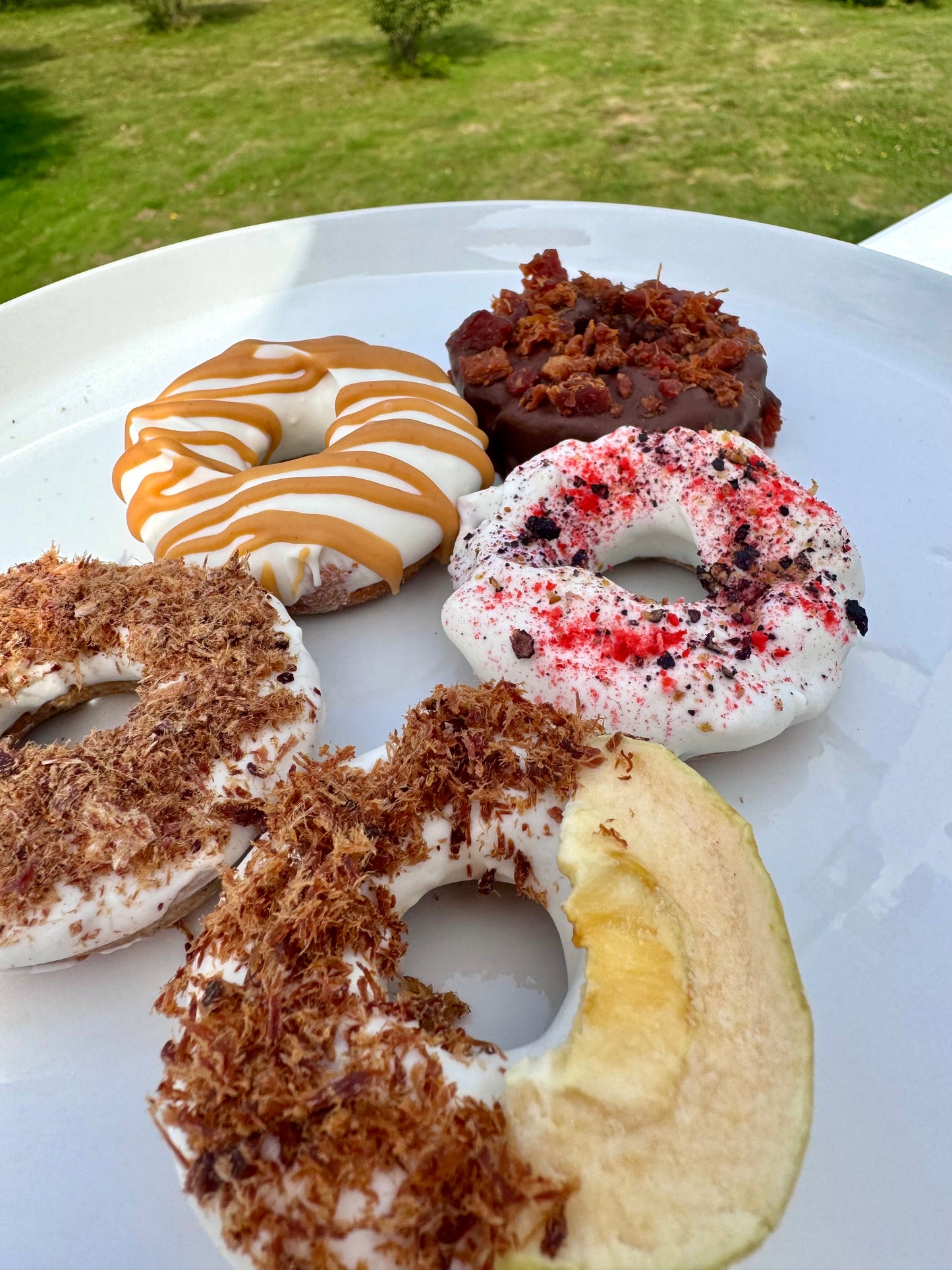 Doughnut Variety Packs