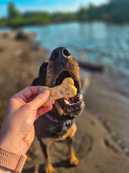 Bacon Cheeseburger Biscuits