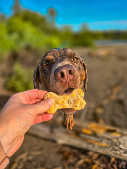 Bacon Cheeseburger Biscuits